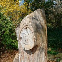 Sulli_A (@sullivam1965) 's Twitter Profile Photo