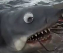 BaconSuspenderz's profile picture. I stand for truth and justice.
I sit for waffles and scrabble.