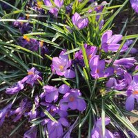 AnneB.2005 (@anneb_2005) 's Twitter Profile