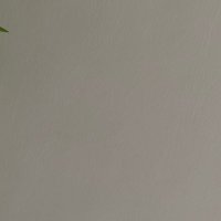 FAT (@oih_98) 's Twitter Profile Photo
