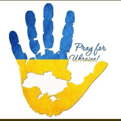 Nolene2's profile picture. 