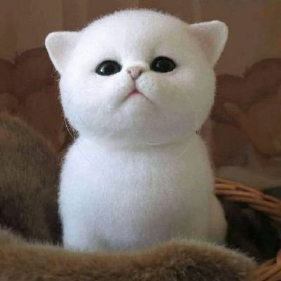nhuul_'s profile picture.