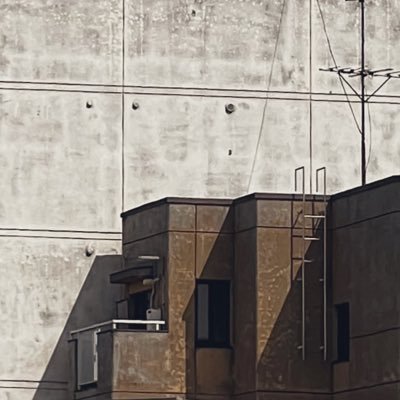 youzume7's profile picture. 、