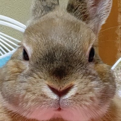 三宅 仁さんのプロフィール画像