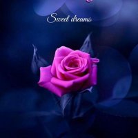 samy (@pappusamyranga2) 's Twitter Profile