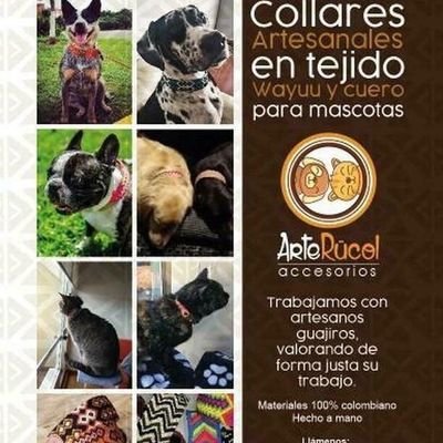 Collares artesanales tejido Wayuu para mascotas ,correas camaras diseños exclusivos y únicos elaborados a mano por artesanos Wayuu whast app 3174292662