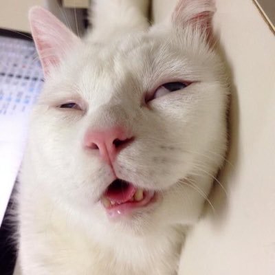 dtttok1's profile picture. 