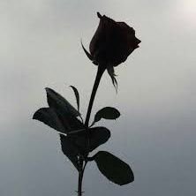 JIVITHA98's profile picture. ||98's||  🇲🇾