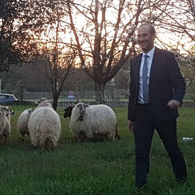 lionel_granier's profile picture. Ancien professeur des écoles
Proviseur de la cité scolaire d'Oloron Sainte-Marie
compte personnel