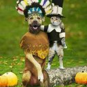 annie walters - @Jeddathedog - Twitter