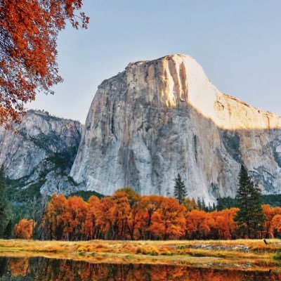 Business exec in tech. Background in operations and finance. Interests in tech, finance and investing. Been investing since GFC. Fan of all things outdoors.