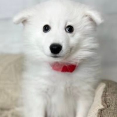 KyleGilleon's profile picture. 