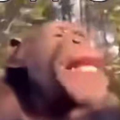 ScreenFuzzy's profile picture. merica