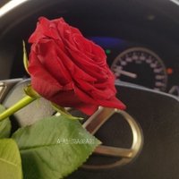 𝔸..𝔸𝕝-𝕄𝕒𝕞𝕒𝕣𝕚 (@almamari871) 's Twitter Profile Photo