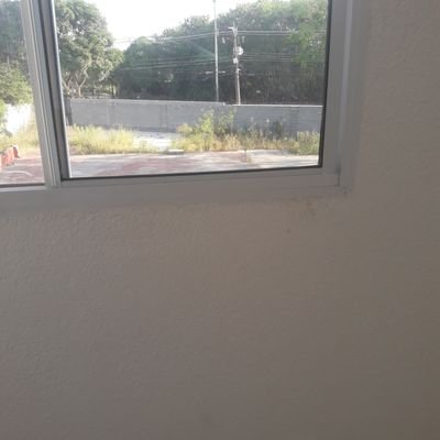 macianocosta21's profile picture. ser feliz sem se preocupar com a opinião dos outros.