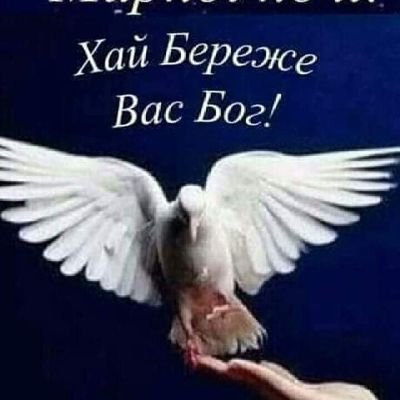 datart7's profile picture. 