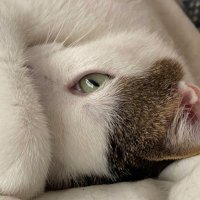 Tavi Nonó (@tavi_nc) 's Twitter Profile