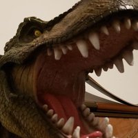 Kenyle (@bull_kenyle) Twitter profile photo