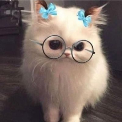 CATHLIS06's profile picture. j'❤️ la France. je hais tous ceux qui veulent en faire une terre brûlée. je soutiens la police, les pompiers, les soignants.. les autres allez vous faire foutre