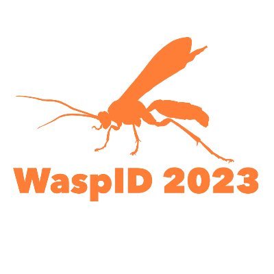 Virtual course for ID of global wasp families! Founded & directed by @toomanywasps | Tweets by @toomanywasps