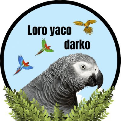 loroyacodarko Profile Picture