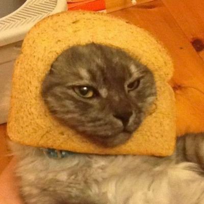 Kallioさんのプロフィール画像