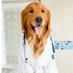 Student Dr (@studentdr3) Twitter profile photo Student Dr (@studentdr3) Twitter profile photo