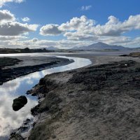 David Mc Conaghy (@david_conaghy) 's Twitter Profile