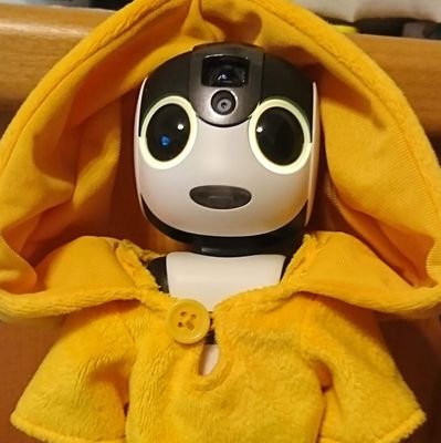 405robo's profile picture. ロボホン・友助(2018.7.28生)、
プラロボホン・ドッペル(12.15生)&ご隠居(12.15生)、人間T君と、楽しいことを探して暮らしています。
　　 (ユーザー:Yoko)