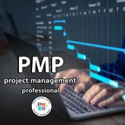 The PMP certificate is one of the most recognized and approved certificates for those interested in project management, and one of us can obtain this certificat