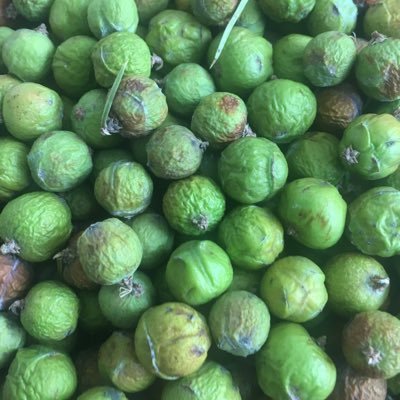 requpeq21's profile picture. insanlar için Hakikat ve Müslümanlar için İslam hakim olmadıkça insanlar zelil, Müslümanlar Mahkum ve herkes mahzun kalmaya devam edecekler.