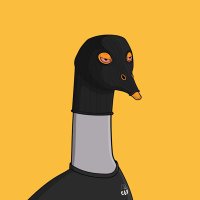 Ventral 🪿 (@ventral_) 's Twitter Profile