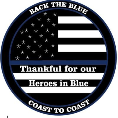 Heroes_in_Blue Profile Picture