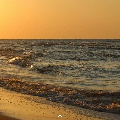 MaviFan3's profile picture. Mavifan3