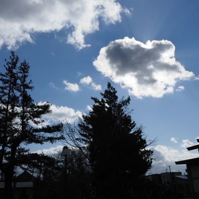 さいふぁの写真アカウントです。
ポトレかスナップ撮影のアップしていければなぁ
🄫Mrkj
https://t.co/sydefpkS21
https://t.co/lwjbkxCtUA