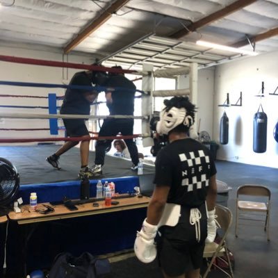 kiddynamite001's profile picture. upcoming pro boxer hungry lion INSTA: giovaannniiii email: giovannidaniels21@gmail.com