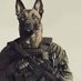 Comandante Perruno (@comndteperruno) Twitter profile photo Comandante Perruno (@comndteperruno) Twitter profile photo
