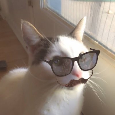 He/Him. Silly but witty kitty with a streak of logic. Pointy ears. Will tweet for treats, head pets and new frens. Love naps. Views expressed are meown.