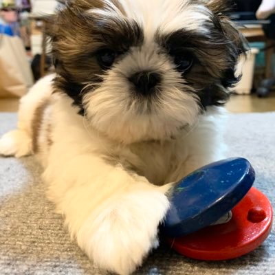 MGYS36's profile picture. 