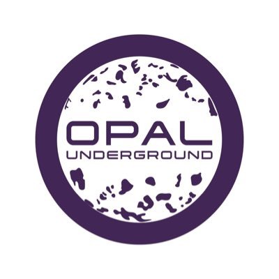 Opal Underground is a  collaborative venture in queer Portland nightlife that hosts parties 2nd Saturdays at Holocene.