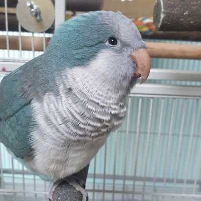 cgi2022's profile picture. 나대로산다