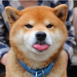 woaijuanwen's profile picture. I am from china