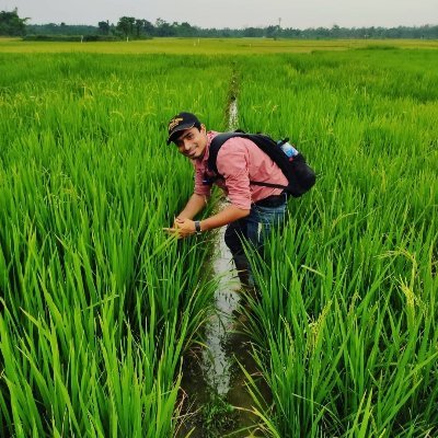 Molecular biologist working on biotic stress (Pathogenomics, Molecular Breeding and Phytoplasma/virus characterization) and climate smart product development