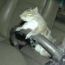 kdkskwkdncnd's profile picture. archived account 2019-2022