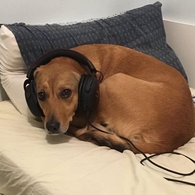 liamsimkin's profile picture. 