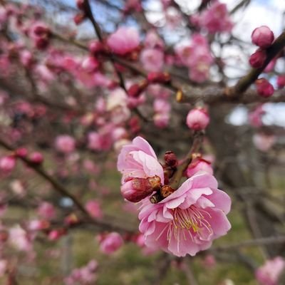 gotouさんのプロフィール画像