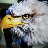 SUCCESS/AGENCY (@ngtptdbjmp5o1cf) 's Twitter Profile