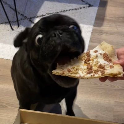 dahnmar's profile picture. TAMU former student | hellraiser ❤️➕