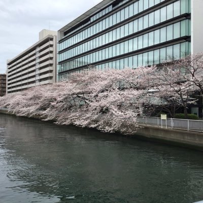 プロレスが好き 車田正美さんの漫画を読む シャーマンキングが好き