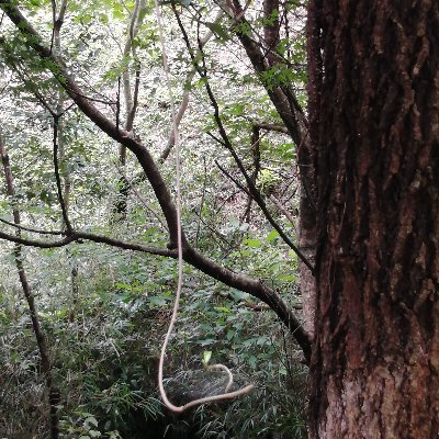 xa4sDRqR0ZqFKYs's profile picture. 